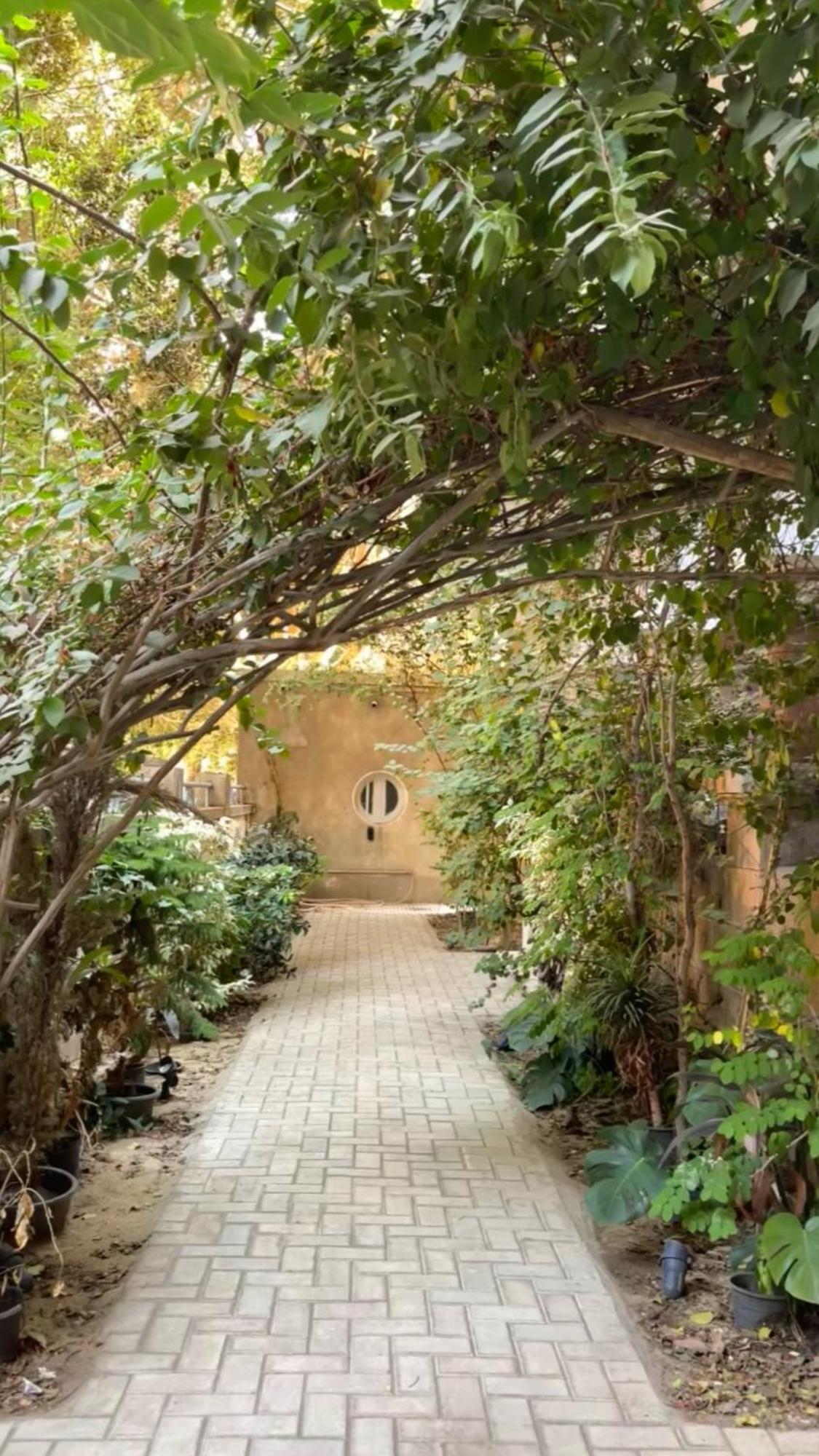 Guest house Ithaka Dokki Cairo